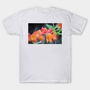 Pink And Peach Wild Azaleas T-Shirt